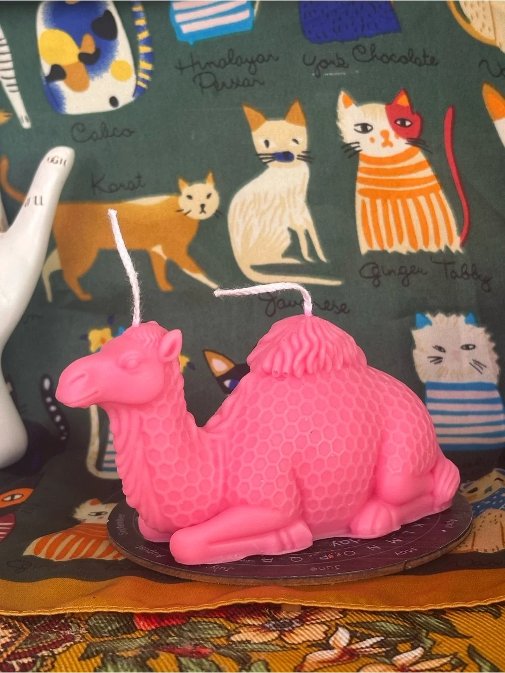 Cosmic camel candle